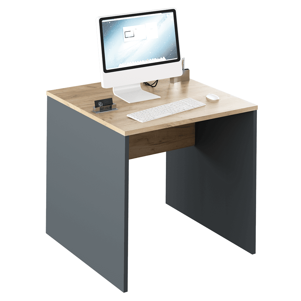KONDELA Písací stôl, grafit / dub artisan, RIOMA NEW TYP 17